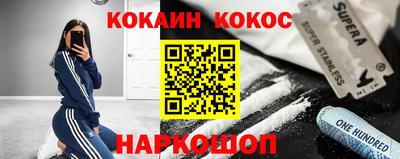 индика Новодвинск