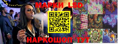 индика Новодвинск