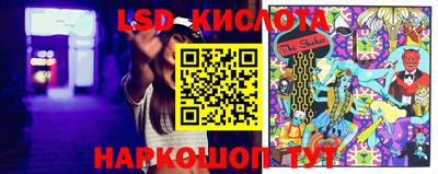 индика Новодвинск