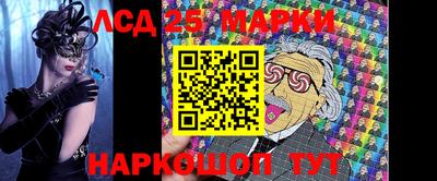 индика Новодвинск