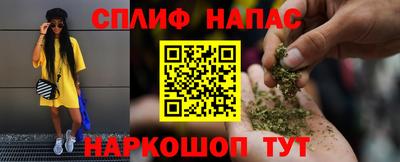 индика Новодвинск