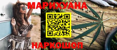 индика Новодвинск