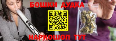 индика Новодвинск