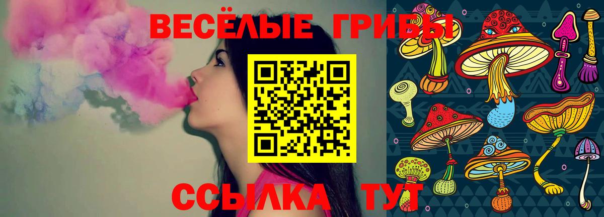 Галлюциногенные грибы MAGIC MUSHROOMS Сочи